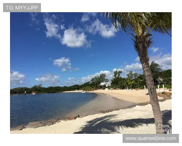 空中飞车双跳伞:当车手与座驾共舞蓝天 空中飞车双跳伞:当车手与座驾共舞蓝天